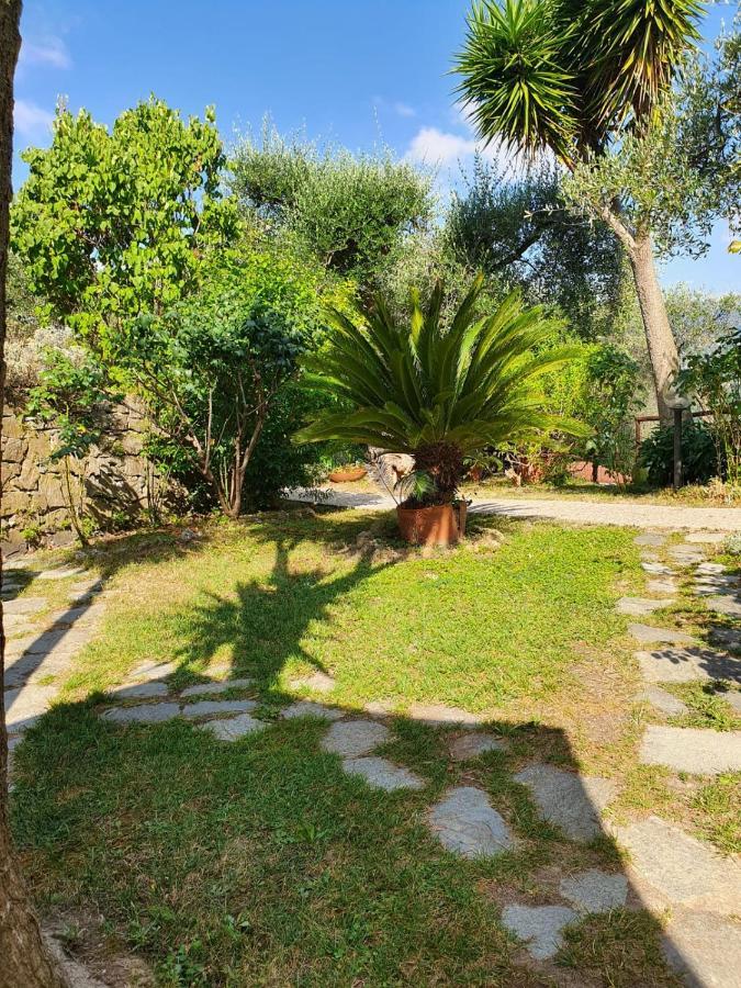 L'Uliveto D'Argento Bed and Breakfast Finale Ligure Buitenkant foto